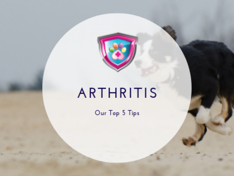 Arthritis Our Top 5 Tips